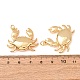 Brass Pendants(KK-CBA2F11-12C-G)-3