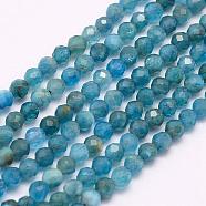 Natural Apatite Beads Strands, Grade AA, Faceted, Round, 4mm, Hole: 0.5mm, about 87~92pcs/strand, 15.3 inch(39cm)(G-F509-17-4mm)