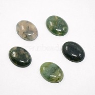 Mixed Oval Shape Natural Moss Agate Cabochons, Dyed, 20x15x5mm(G-N0070-15x20mm-01)