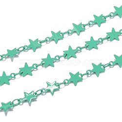 Spray Painted Brass Link Chains, Soldered, with Spool, Star, Medium Sea Green, link: 4x3x0.5mm, star: 8.5x6.5x0.4mm, 32.8 Feet(10m)/roll(CHC-M021-04E)