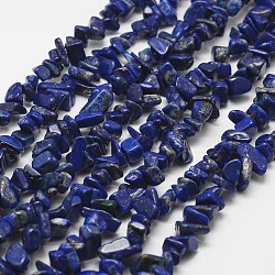 Natural Lapis Lazuli Beads Strands, Chip, Grade A, Blue, 3~5x7~13x2~4mm, Hole: 0.4mm, 32 inch(G-F328-29)