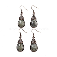 Natural Labradorite Teardrop Dangle Earrings, Red Copper Plated Brass Earrings for Women, 48x15mm(EJEW-B055-01R-22)