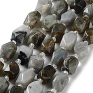 Natural Larvikite Beads Strands, with Seed Beads, Faceted, Rhombus, 12~15x9~12x9~12mm, Hole: 1~1.2mm, about 20~21pcs/strand, 15.20~15.51 inch(38.6~39.4cm)(G-C182-17-01)