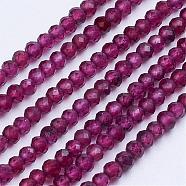 Natural Garnet Beads Strands, Faceted, Round, 2~2.5mm, Hole: 0.5mm, about 189~205pcs/strand, 15 inch(38cm)(G-E373-02A)