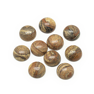 Natural Picture Jasper Cabochons, Half Round/Dome, 8x4mm(X-G-R416-8mm-42)