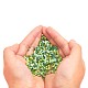 12/0 Glass Seed Beads(SEED-X0050-2mm-03)-5