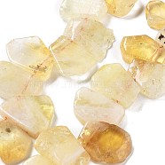 Natural Citrine Beads Strands, Nuggets, Top Drilled, 16~17x18~23.5x6~8mm, Hole: 0.7mm, about 15pcs/strand, 7.28~7.72''(18.5~19.6cm)(G-P528-K07-01)