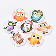 Printed Glass Flat Back Cabochons, Dome/Half Round, Owl Pattern, Mixed Color, 30x7mm(GGLA-Q056-003-30mm)