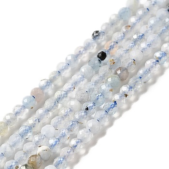 Natural Aquamarine Beads Strands, Faceted, Round, 2mm, Hole: 0.5mm, about 187pcs/strand, 14.96''(38cm)