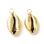 Electroplated Shell Beads Pendants, with Eco-Friendly Copper Wire, Golden, 23~26x11~13x6~7.5mm, Hole: 3.5mm(PALLOY-JF01002-03)