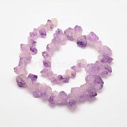 Natural Amethyst Bead Strands, Nuggets, 5~19x8~29x7~10mm, Hole: 1mm, about 45pcs/strand, 15.5 inch(G-P267-07)