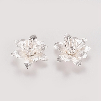 3D Brass Bead Caps, Flower, Multi-Petal, Silver Color Plated, Tray: 5mm, 16x6.5mm, Hole: 0.8mm