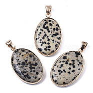 Natural Dalmatian Jasper Pendants, with Light Gold Plated Brass Edge and Snap on Bail, Oval, 35~36x21.5x6.5mm, Hole: 6x8mm(G-N326-31E)