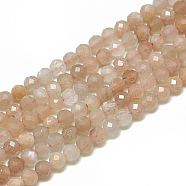 Natural Sunstone Beads Strands, Faceted, Round, 3~3.5mm, Hole: 0.3mm, about 128pcs/strand, 15.3 inch(G-S300-15-3mm)