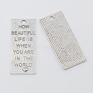 Alloy Pendants, Dog Tags, Lead Free & Cadmium Free & Nickel Free, Rectangle, Antique Silver Color, Size: about 53mm long, 22.5mm wide, 1mm thick, hole: 4mm(X-EA13276Y-NF)