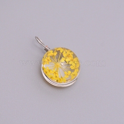 Transparent Glass Pendants, with Dried Flower inside and Stainless Steel Finding, Flat Round, Stainless Steel Color, Yellow, 20~23x15x12mm, Hole: 1.5mm(GLAA-TAC0003-06E)