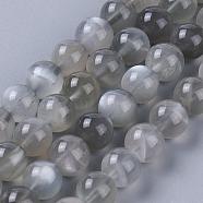 Natural Grey Moonstone Beads Strands, Round, 6mm, Hole: 0.6mm, about 65~67pcs/strand, 15.7 inch(40cm)(G-F632-29-02)