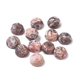 Natural Leopard Skin Jasper Cabochons, Half Round/Dome, 8x4mm(X-G-L533-18)