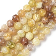 Natural Yellow Opal Beads Strands, Grade A, Round, 8mm, Hole: 0.8mm, about 49pcs/strand, 15.67''(39.8cm)(G-Q1001-A01-02)
