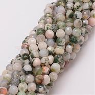 Natural Tree Agate Bead Strands, Dyed, Faceted, Round, 6mm, Hole: 1mm, about 56~58pcs/strand, 14 inch(G-G882-6mm-E02)