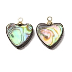 Natural Abalone Shell Pendants, with Brass Findings, Heart Charms, 15x12x3mm, Hole: 1.2mm(SH-CJC0AC7-01F-G)