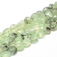 Natural Prehnite Beads Strands, Oval, 8~15x7~12x4~12mm, Hole: 1mm, about 30~45pcs/strand, 15.7(G-R445-8x10-25)