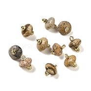 Natural Picture Jasper Rondelle Charms with Rack Plating Brass Loops, Real 18K Gold Plated, Long-Lasting Plated, 9.5~11x8~8.5mm, Hole: 1.8mm(G-G110-05B-11)