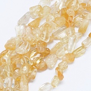 Natural Citrine Beads Strands, Tumbled Stone, Nuggets, 8~14x5~9mm, Hole: 1.2mm, 15.7 inch(40cm)(G-F599-18)