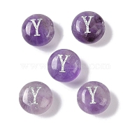 Natural Amethyst Beads, Rondelle with Letter, Letter Y, 8.5~9x5~5.5mm, Hole: 1.2mm(G-L524-20Y-03)