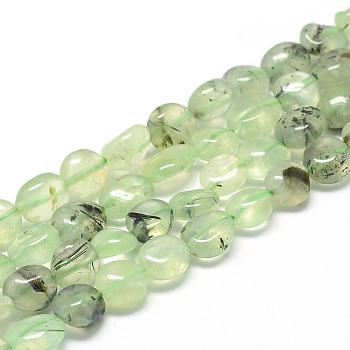 Natural Prehnite Beads Strands, Oval, 8~15x7~12x4~12mm, Hole: 1mm, about 30~45pcs/strand, 15.7