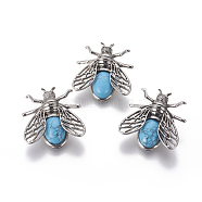 Synthetic Turquoise Brooches, with Brass Findings, Cicada, Antique Silver, 38x36x8mm, Pin: 0.6mm(G-A176-D13)