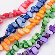 Natural Shell Bead Strands, Dyed, Nuggets, Mixed Color, 7~22x6~9x4~6mm, Hole: 1mm, about 52pcs/strand, 15.2 inch(BSHE-P020-M)