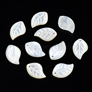 Natural White Shell Pendants, Leaf, 15~16x9~10x2mm, Hole: 1mm(SSHEL-S258-100C)