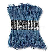 10 Skeins 12-Ply Metallic Polyester Embroidery Floss, Glitter Cross Stitch Threads for Craft Needlework Hand Embroidery, Friendship Bracelets Braided String, Steel Blue, 0.8mm, about 8.75 Yards(8m)/skein(OCOR-Q057-A01)
