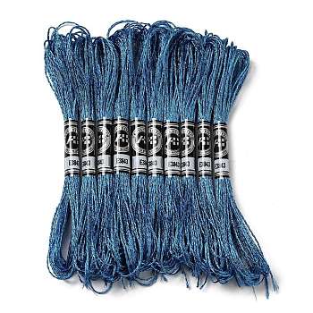 10 Skeins 12-Ply Metallic Polyester Embroidery Floss, Glitter Cross Stitch Threads for Craft Needlework Hand Embroidery, Friendship Bracelets Braided String, Steel Blue, 0.8mm, about 8.75 Yards(8m)/skein
