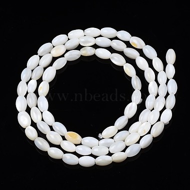 Freshwater Shell Beads Strands(SHEL-T009-A15-01)-2