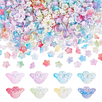 800Pcs 8 Colors UV Plating Iridescent Acrylic Bead Caps, 5-Petal Flower, Mixed Color, 12.5x12.5x6.5mm, Hole: 1.5mm, 100pcs/color(OACR-PH0004-29)