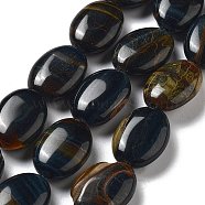 Natural Blue Tiger Eye Beads Strands, Dyed & Heated, Flat Oval, 18~18.5x13~13.5x6~6.5mm, Hole: 1.2mm, about 11pcs/strand, 7.76 inch(19.7cm)(G-P528-M23-01)