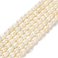 Natural Cultured Freshwater Pearl Beads Strands, Rice, Grade A, Floral White, 7~8x5~6mm, Hole: 0.6mm, about 42pcs/strand, 13.58''(34.5cm)(PEAR-E016-166)