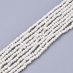 Natural Cultured Freshwater Pearl Beads Strands, Seashell Color, 1.5~2x1.5~3x1.5~2mm, Hole: 0.5mm, about 215~222pcs/strand, 15.35 inch(39cm)(X-PEAR-S016-001)