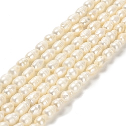 Natural Cultured Freshwater Pearl Beads Strands, Rice, Grade A, Floral White, 7~8x5~6mm, Hole: 0.6mm, about 42pcs/strand, 13.58''(34.5cm)(PEAR-E016-166)