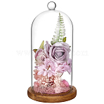 Arch Glass Dome Cover, Decorative Display Case, Cloche Bell Jar Terrarium with Wood Base, Saddle Brown, 122x230mm(AJEW-WH0481-606F)