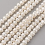 Natural Cultured Freshwater Pearl Beads Strands, Potato, Seashell Color, 5.5~6x5~5.5mm, Hole: 0.8mm, about 64~65pcs/strand, 14.17~14.37 inch(36~36.5cm)(PEAR-G007-31)
