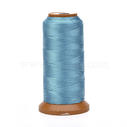 Polyester Threads, for Jewelry Making, Sky Blue, 0.2mm, about 1093.61 yards(1000m)/roll(NWIR-G018-A-22)