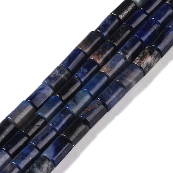 Natural Sodalite Beads Strands, Column, 7.5~8.5x5~6mm, Hole: 1mm, about 45~46pcs/strand, 14.69~15.04 inch(37.3~38.2cm)