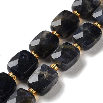 Natural Iolite Beads Strands, Faceted, Rectangle, 10x8x4.5mm, Hole: 1mm, about 31pcs/strand, 15.35''(39cm)