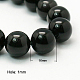 Natural Obsidian Beads Strands(X-G-G099-16mm-24)-1