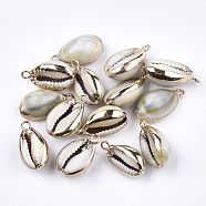 Cowrie Shell Pendants, with Brass Findings, Golden, 18~20x11~13x7~8mm, Hole: 1.5mm(SSHEL-T005-13)
