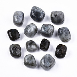 Natural Labradorite Beads, Healing Stones, for Energy Balancing Meditation Therapy, Tumbled Stone, Vase Filler Gems, No Hole/Undrilled, Nuggets, 19~30x18~28x10~24mm  250~300g/bag(G-N332-004)