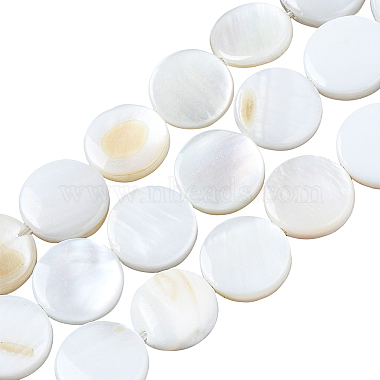 Seashell Color Shell Kits